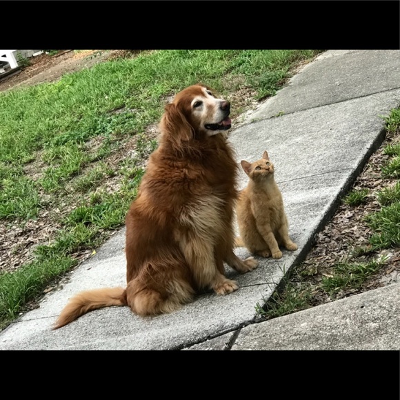 Other - Trend alert!